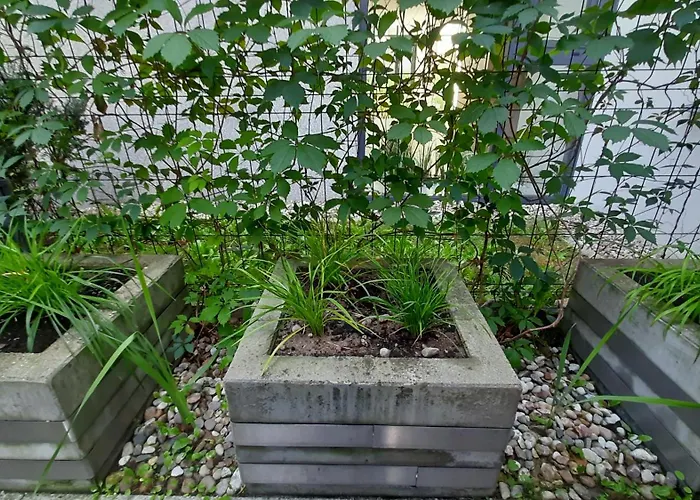 Osiedle Garnizon Daire Gdansk