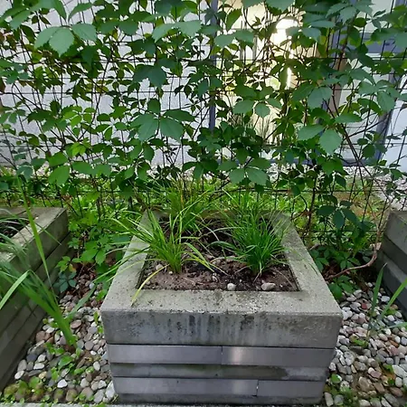 Osiedle Garnizon Apartman Gdańsk